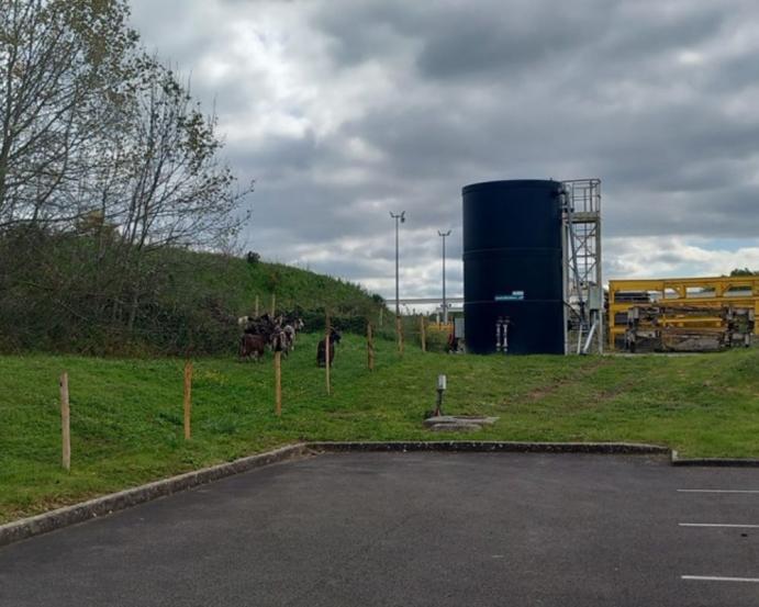 eco-paturage-rennes-kp1